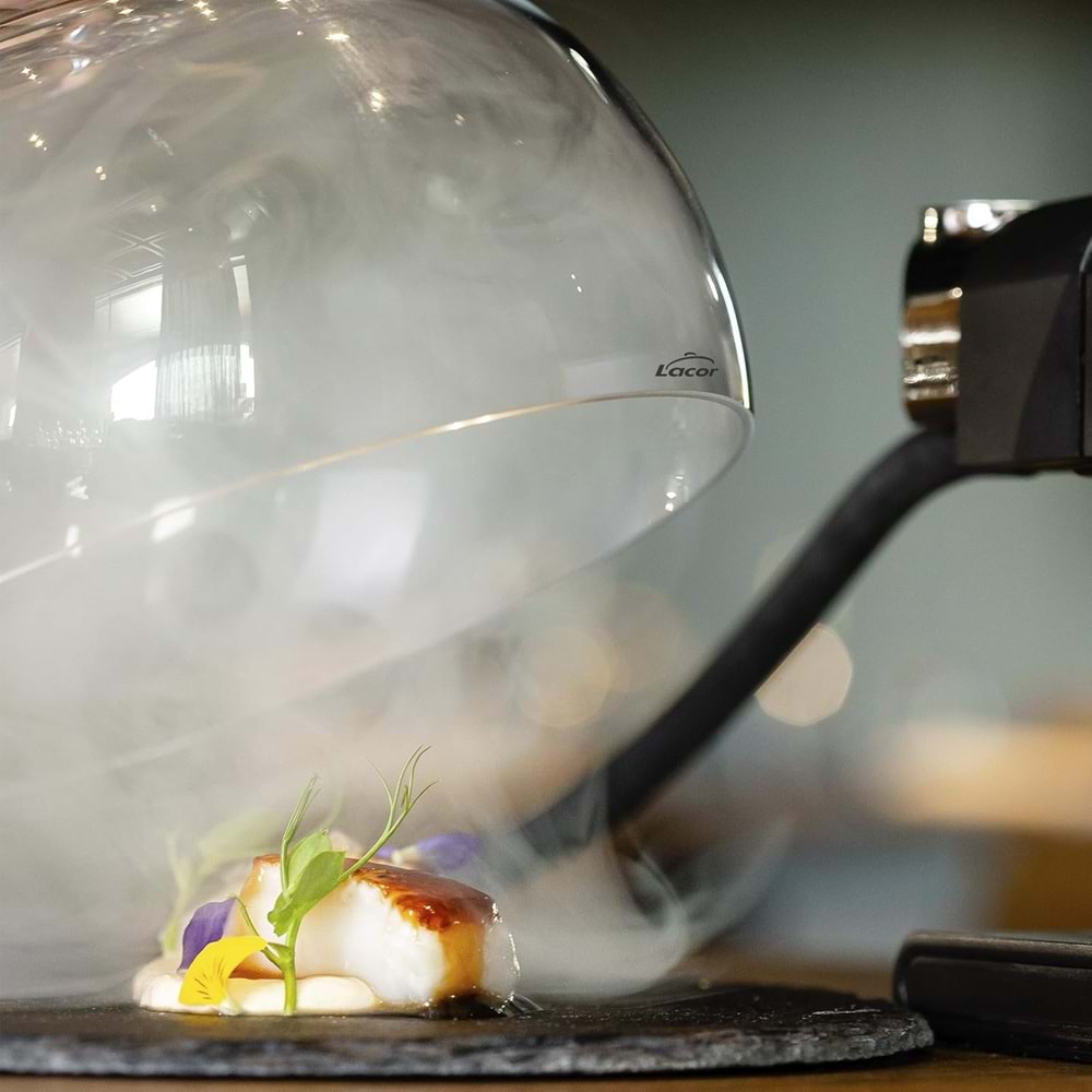 LACOR SMOKER HOOD - TÜTSÜLEME FANUSU 26X18,5 CM