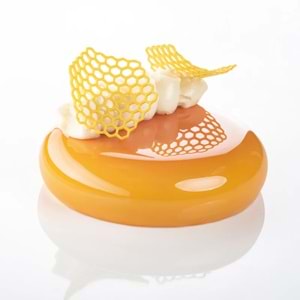 PAVONİ GG047S GOURMAND 300 X 200 MM SİLİCONE MOULD