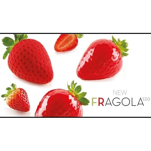 28.316.87.0065 SİLİKOMART FRAGOLA 120 SİLİKON KALIP