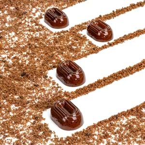 MARTELLATO 21MA1069 BİSCUİT POLİKARBON ÇİKOLATA KALIBI
