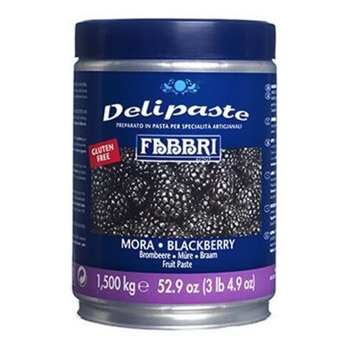 CSM FABBRİ DELİPASTE BÖĞÜRTLEN-BLACKBERRY 1,50 KG