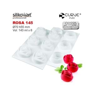 36.217.87.0065 SİLİKOMART ROSA 145 SİLİKON KALIP